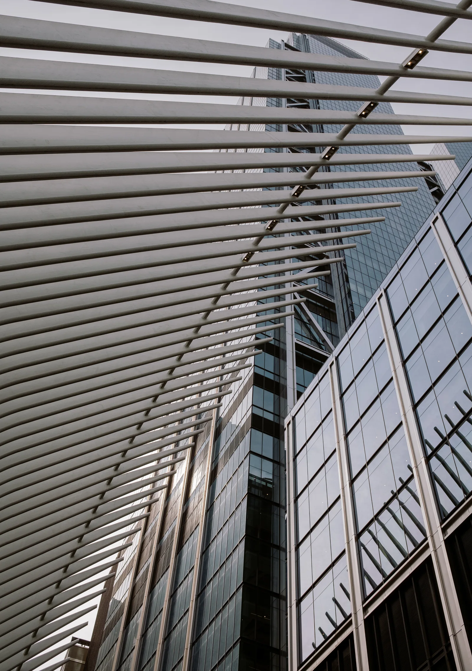 White ribbed steel canopy against glass towers at the Oculus, New York