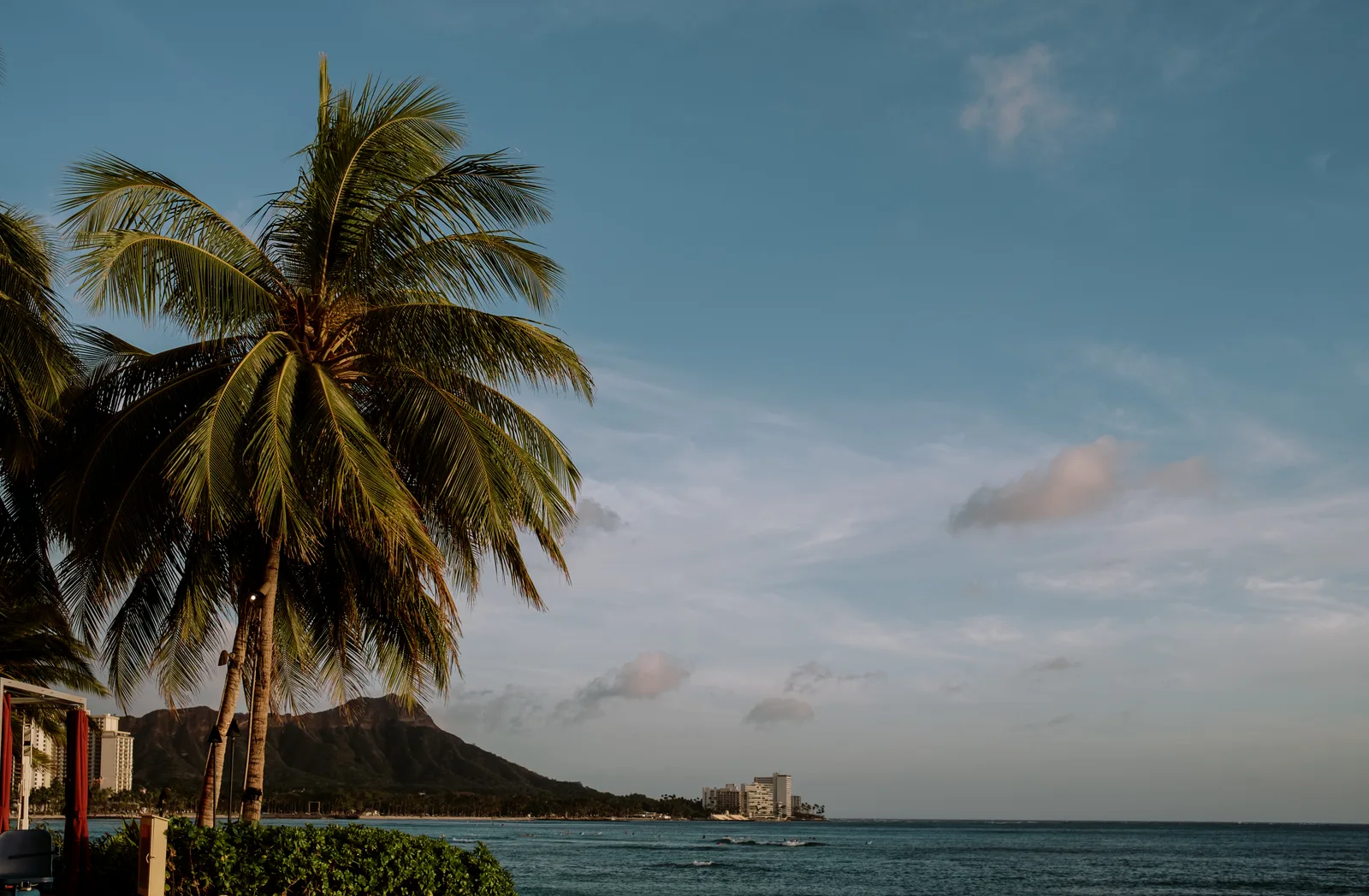 Palm tree at Waikiki at dusk with Diamond Head and the coast beyond, Oahu