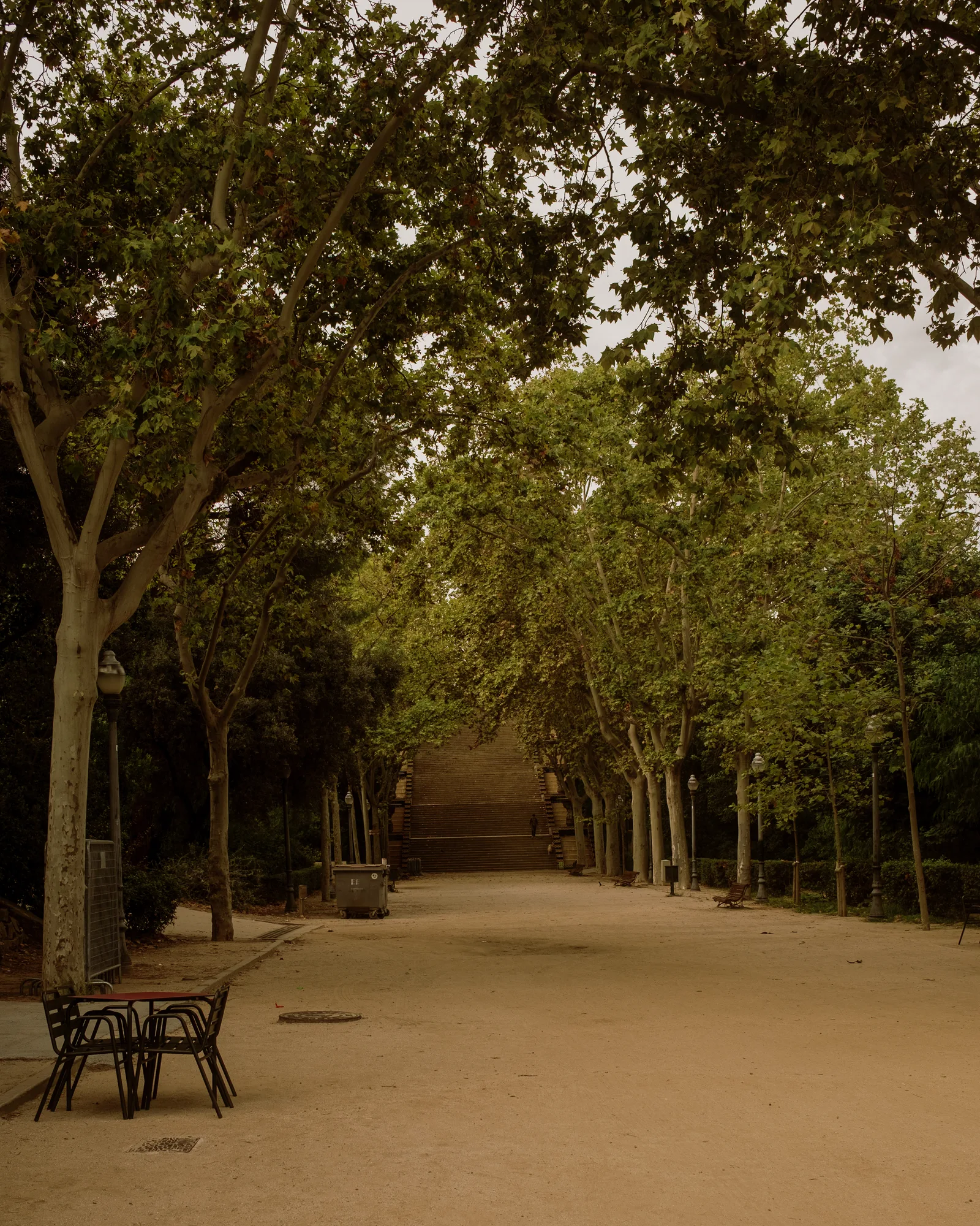 Gravel path lined with plane trees, a café table and a stone staircase beyond, Barcelona
