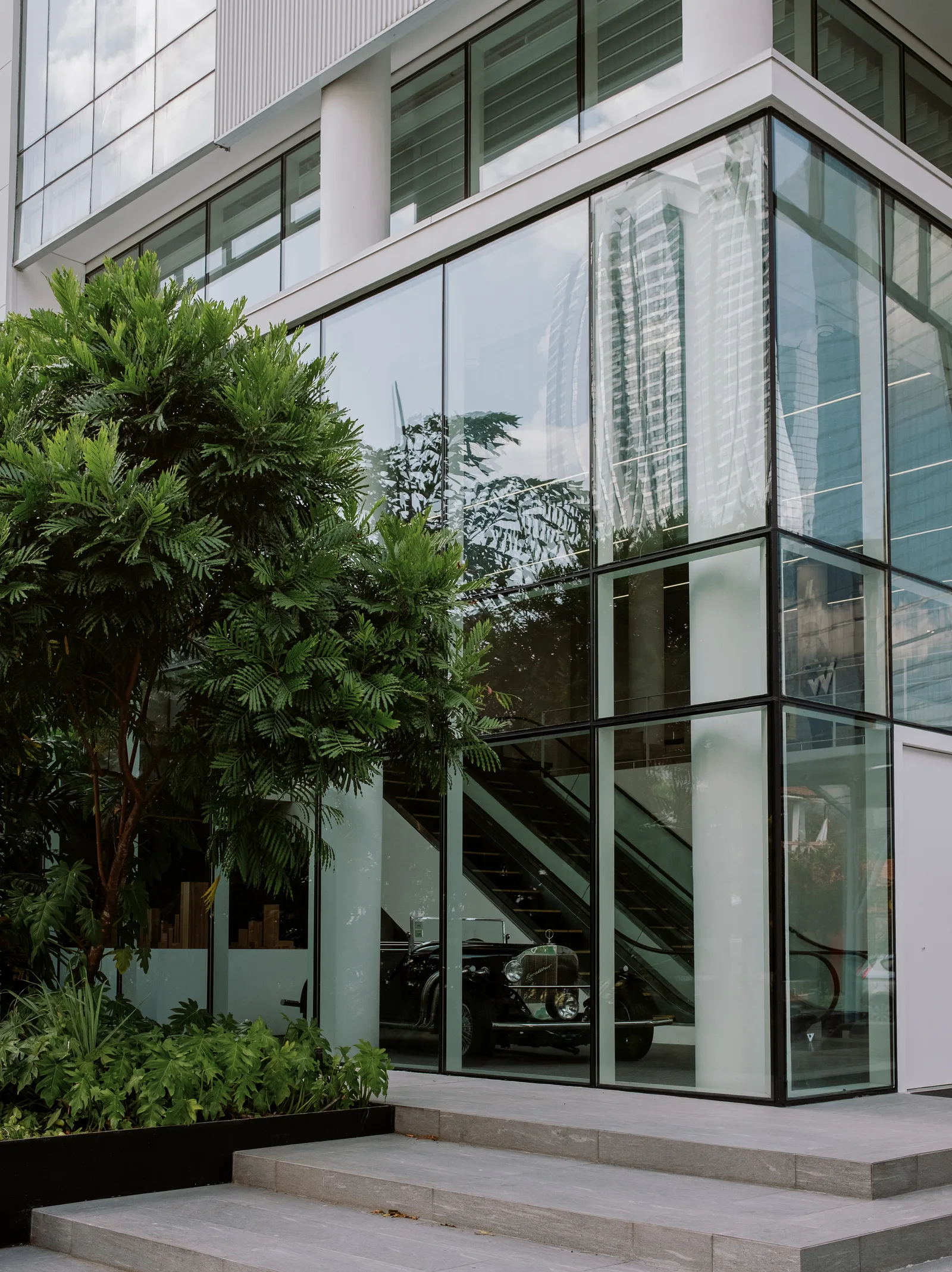 Glass-fronted building with a tree and stairs seen through the glass, Panama City