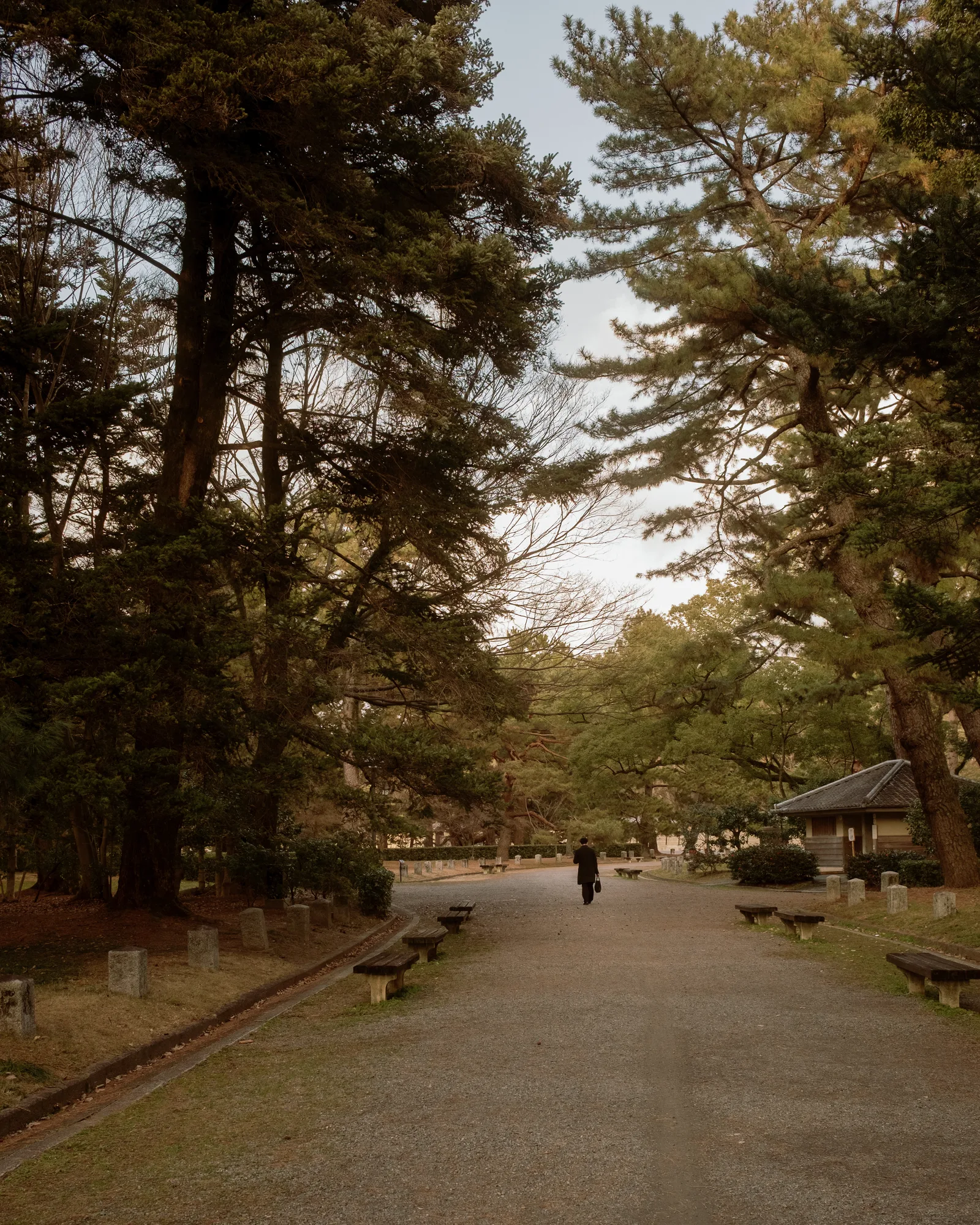 Tree-lined gravel path through a park in Kyoto, one distant walker