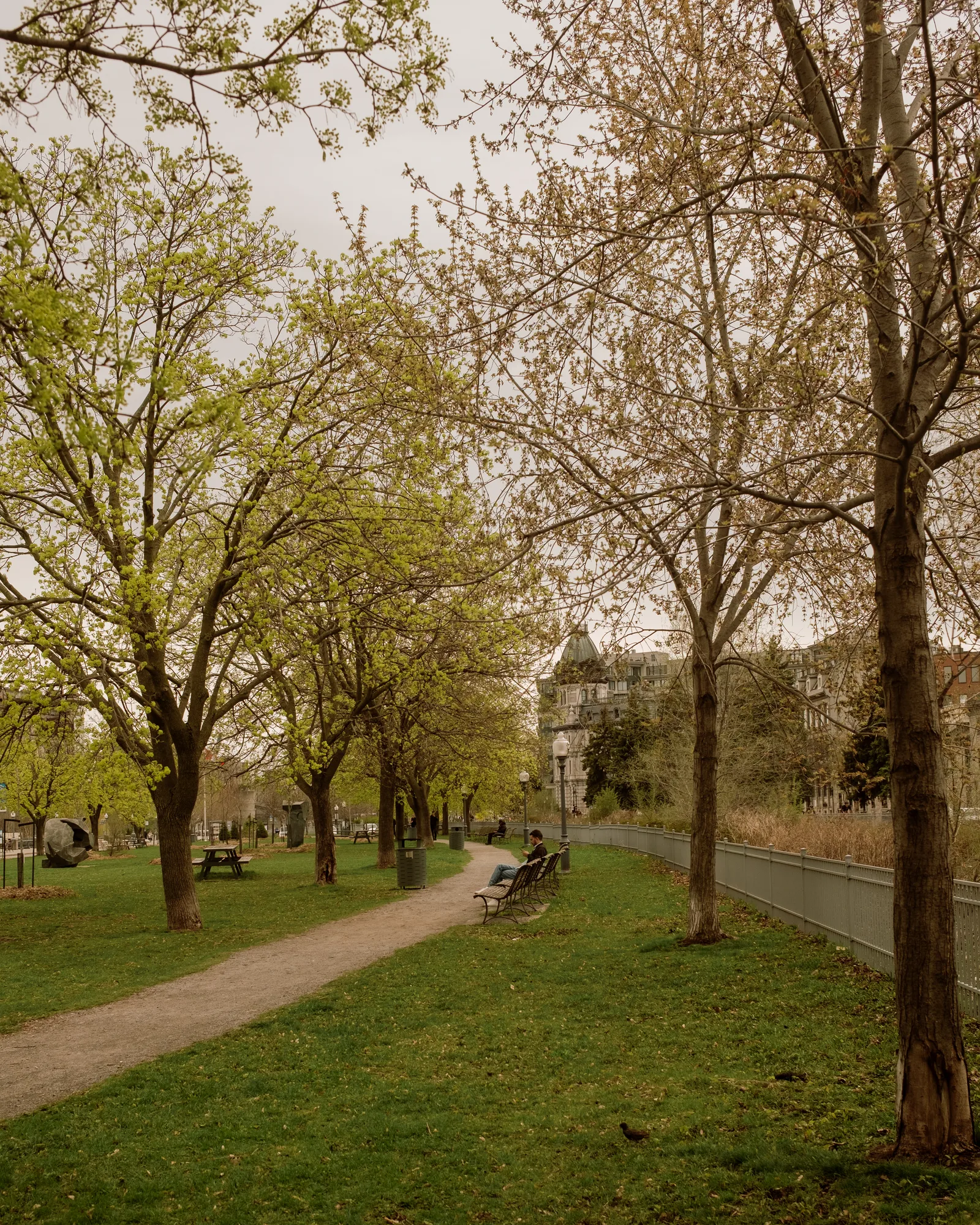 Path and picnic tables under trees in spring leaf along a Montreal park