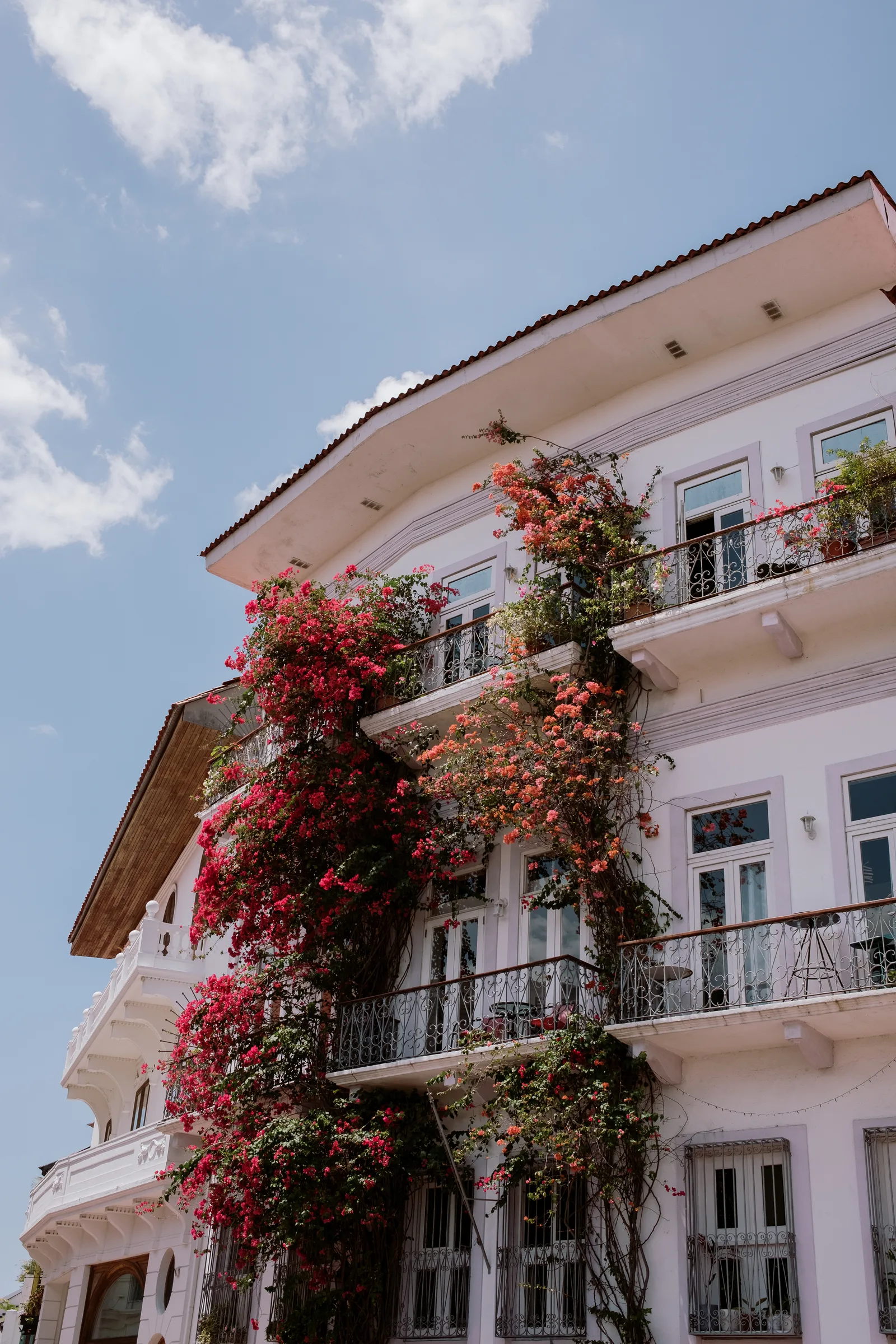 Pink colonial building covered in red bougainvillea against blue sky, Panama City