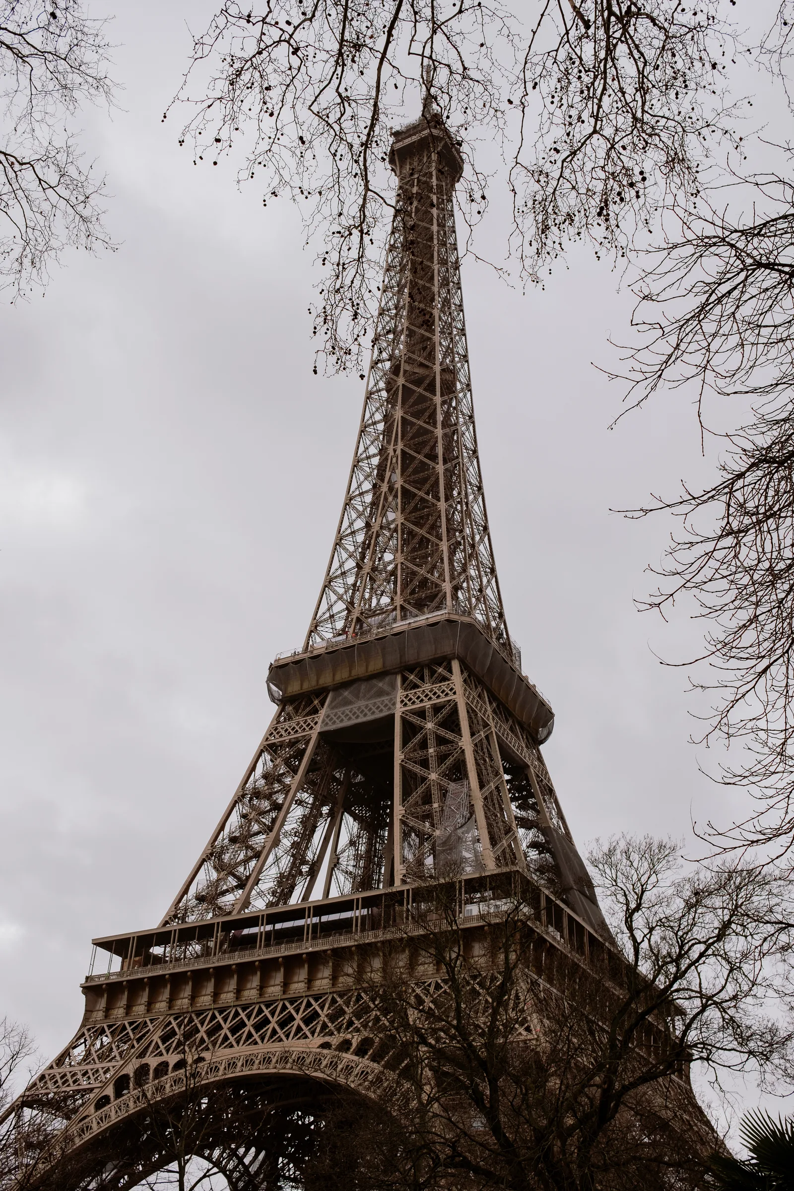 Eiffel Tower seen from below through bare branches under a gray sky