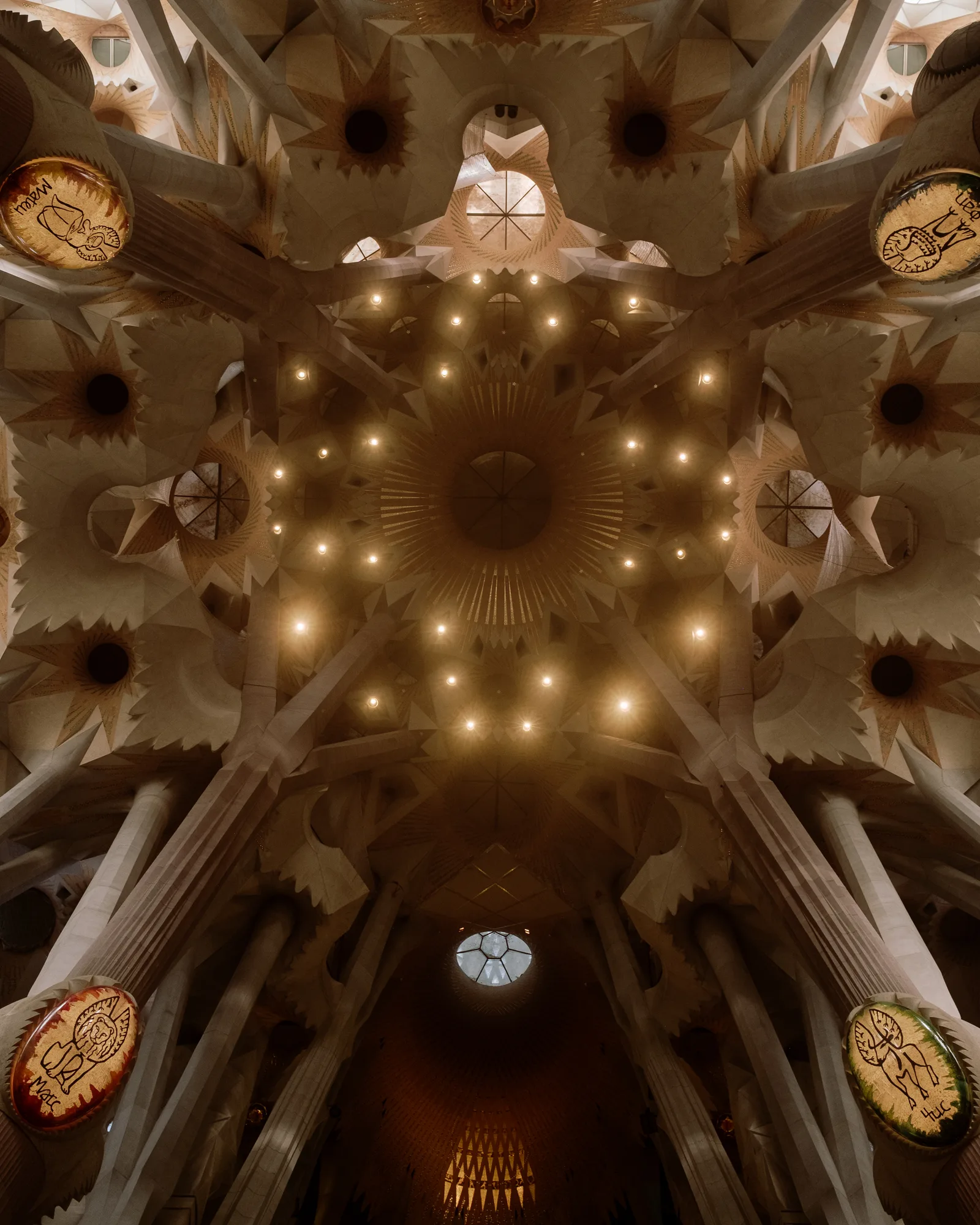 Looking up at the Sagrada Família's ceiling, star-shaped vaults dotted with small golden lights