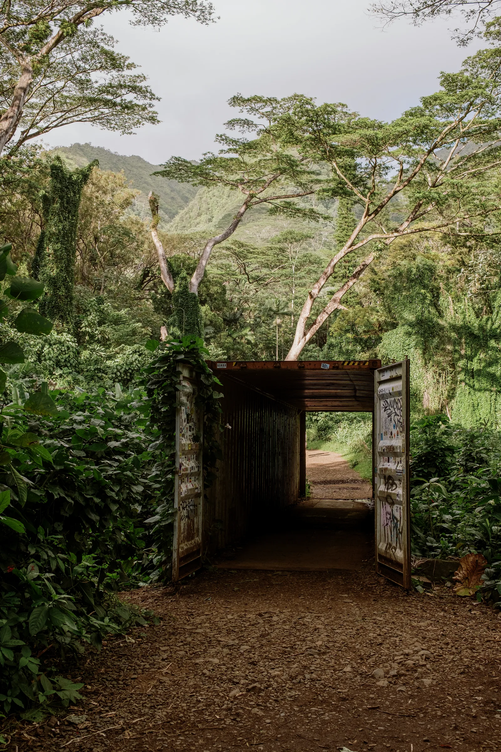 Open gate at the end of a green trail through dense tropical foliage on Oahu