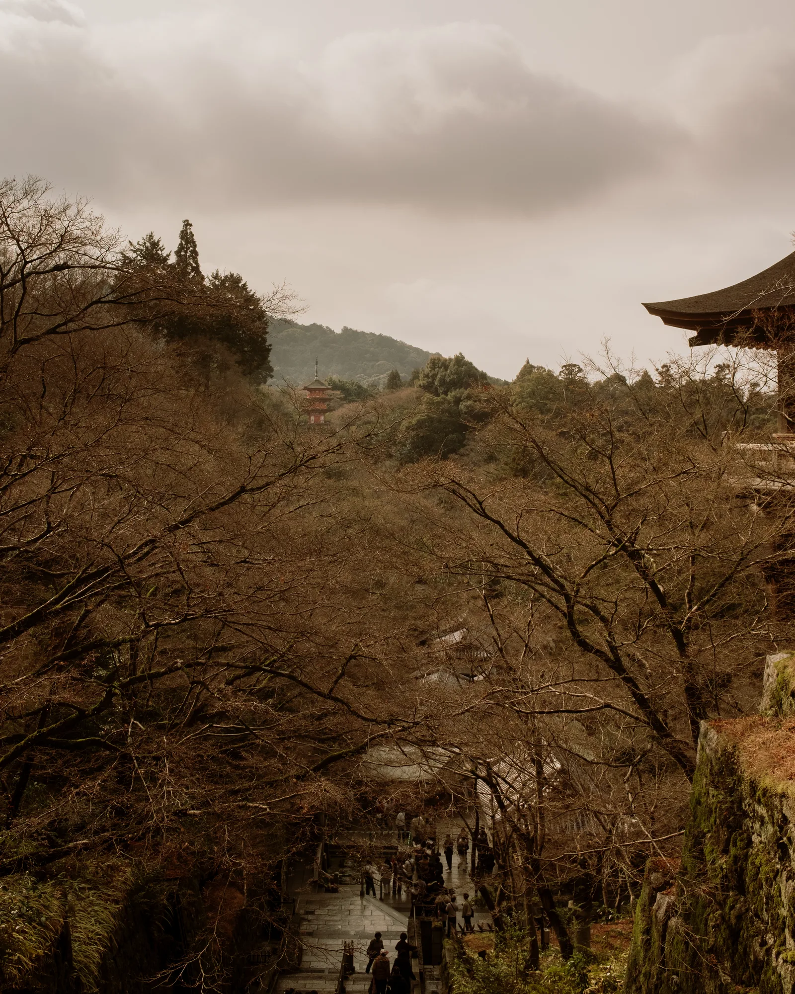 Bare autumn hillside with a temple roof at the edge of the frame, Kyoto