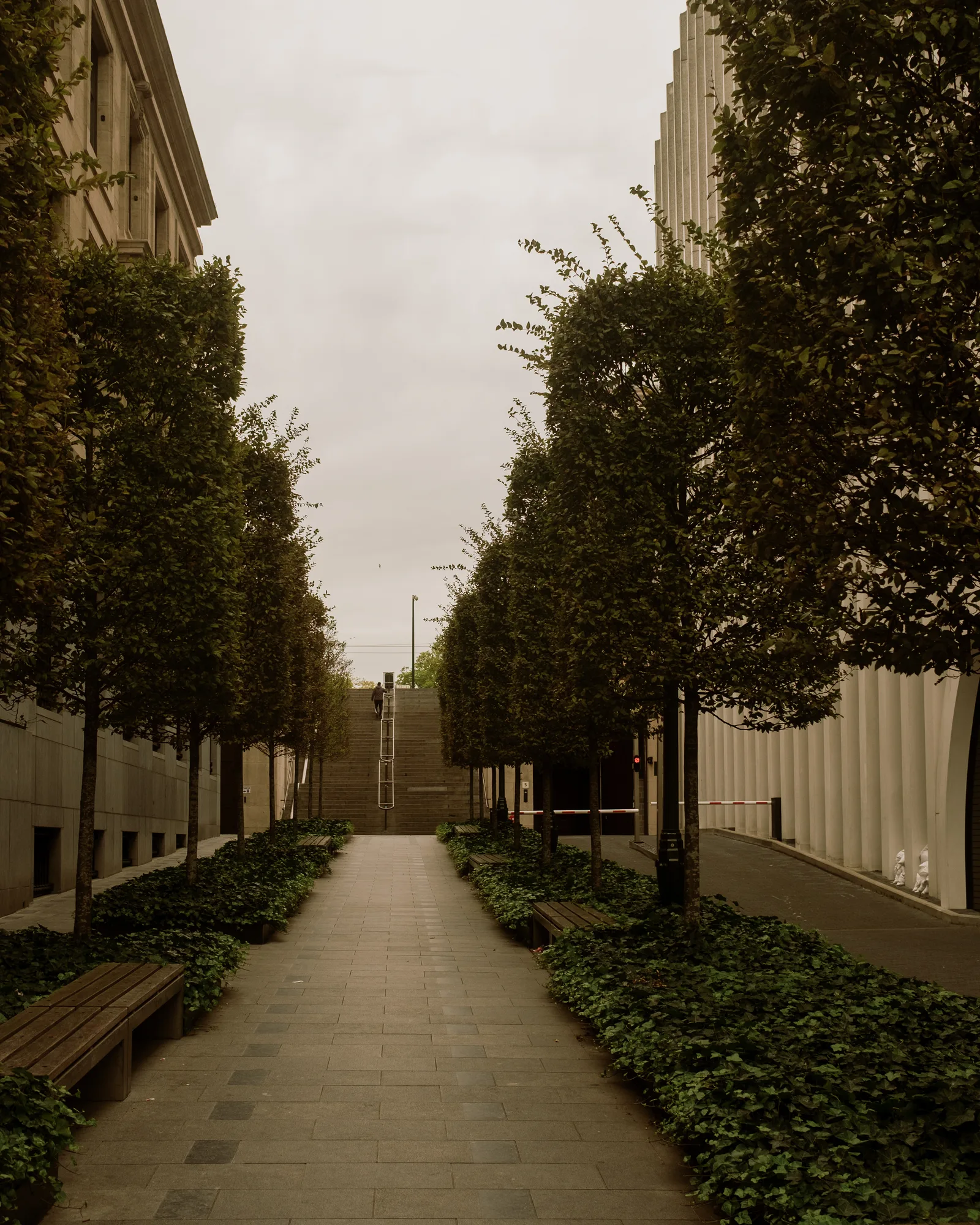 Paved path between rows of trees and hedges beside modern buildings, Brussels