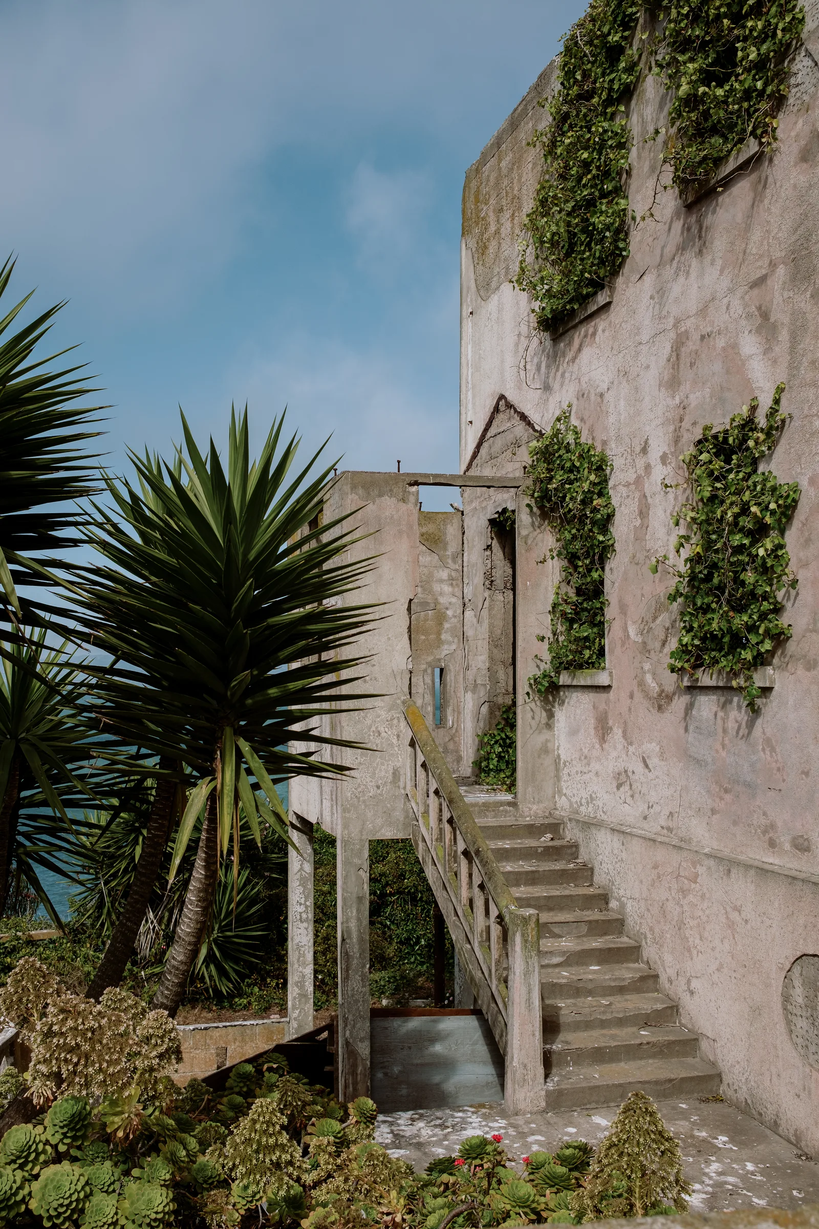 Ivy-covered concrete building and stairs behind agave plants, San Francisco