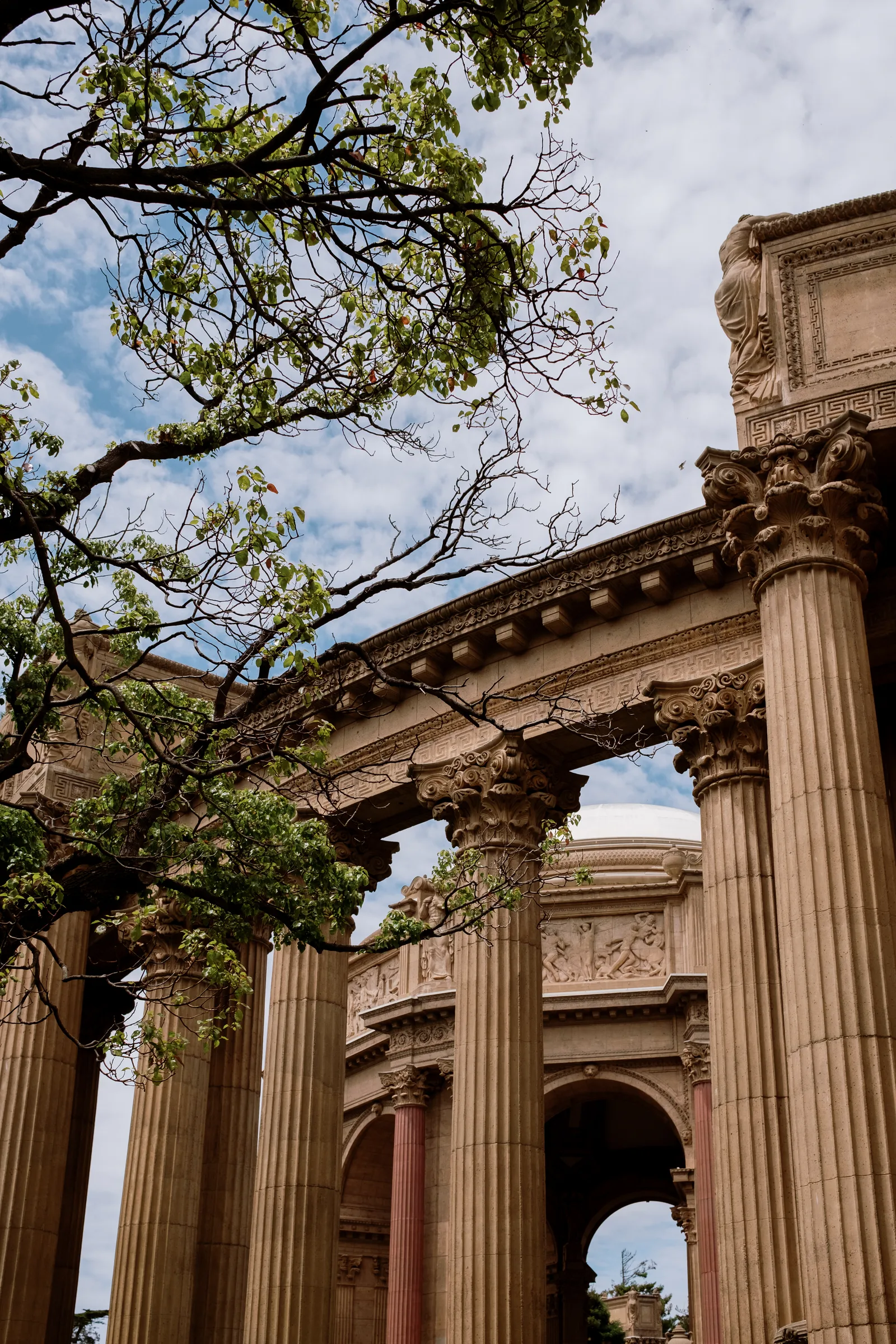Corinthian columns of the Palace of Fine Arts colonnade under tree branches, San Francisco