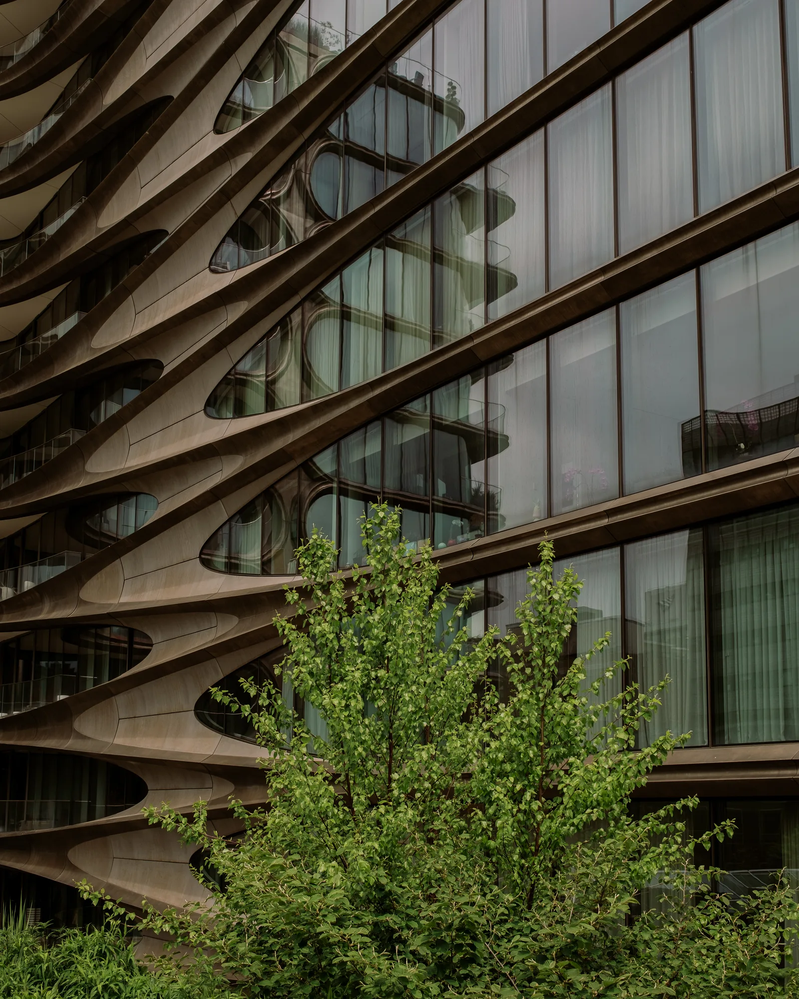 Curving bronze-toned building facade with a young tree in front, New York