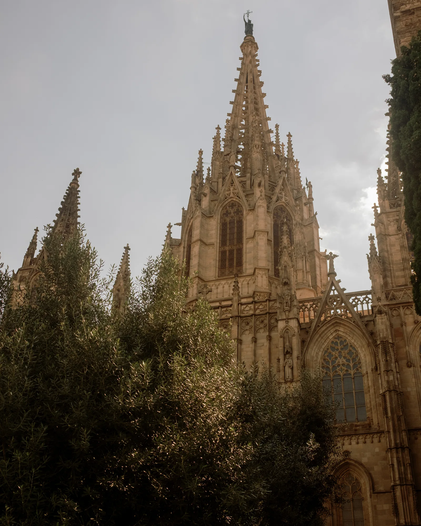 Spire and pinnacles of Barcelona's Gothic cathedral rising above trees