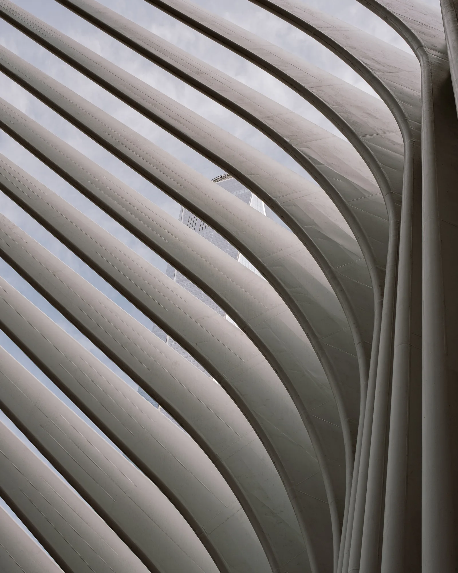 Curved white ribs of the Oculus seen from below, New York