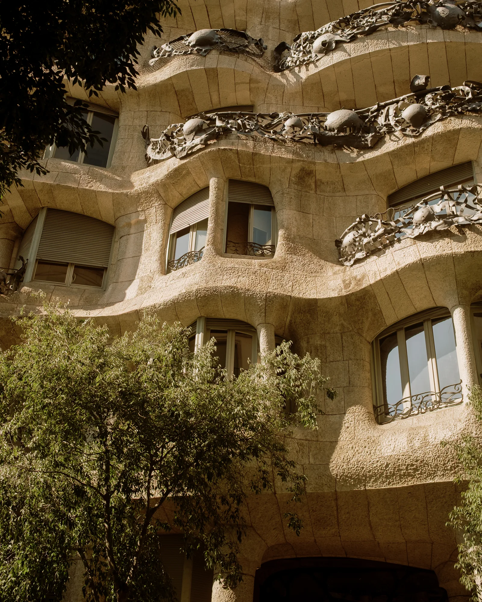 Casa Milà's wavy stone balconies with wrought-iron railings above a tree, Barcelona