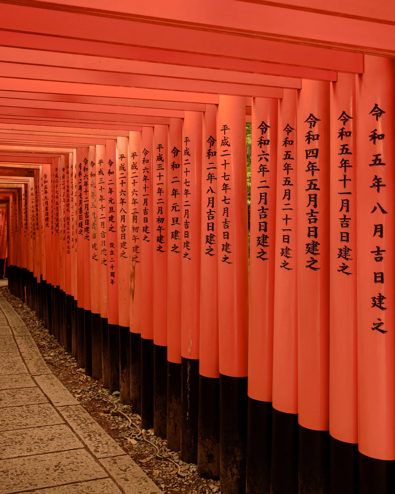 Tunnel of vermilion torii gates covered in Japanese inscriptions at Fushimi Inari, Kyoto