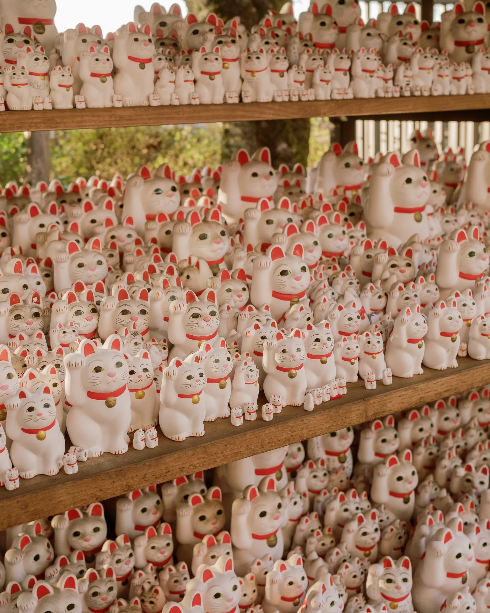 Shelves crowded with white and red lucky cat figurines at a Tokyo temple