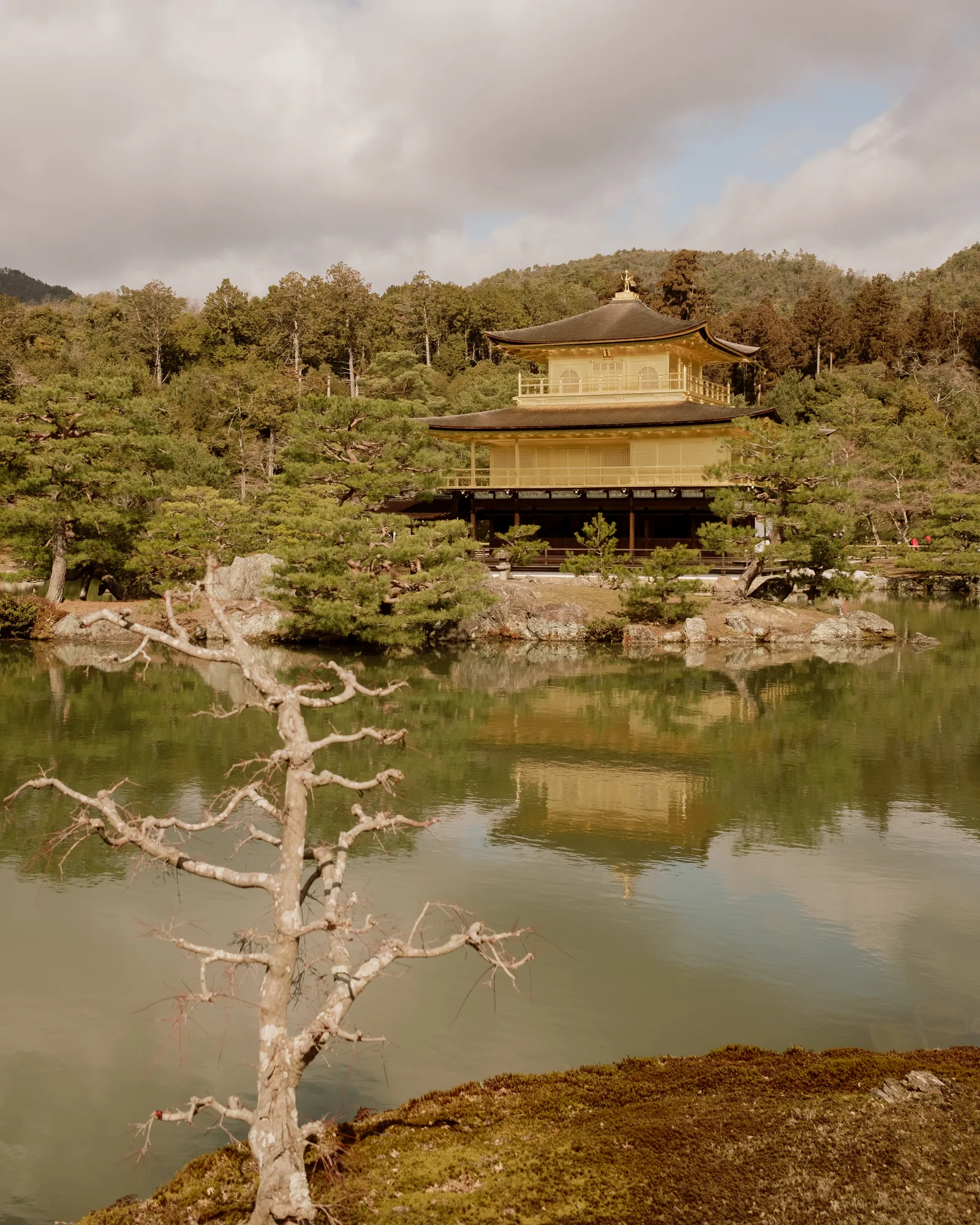 Golden Pavilion reflected in the pond at Kinkaku-ji, Kyoto