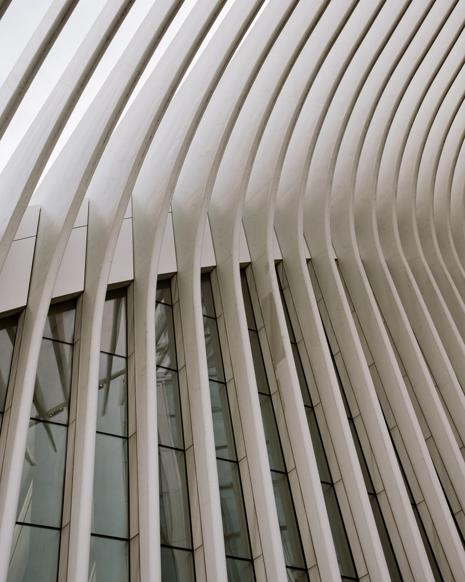 White ribs of the Oculus rising against glass panels, New York