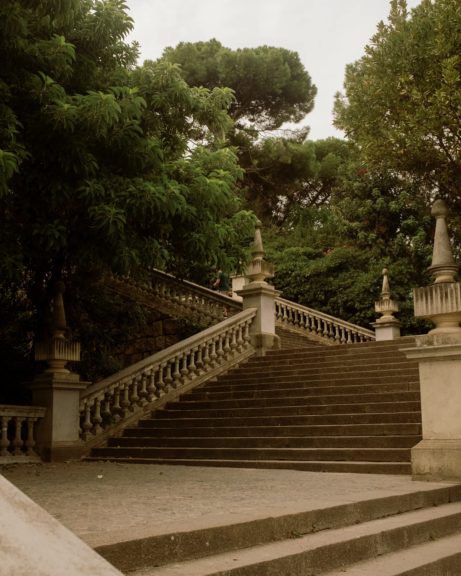 Stone staircase with a balustrade and pine trees in a Barcelona park