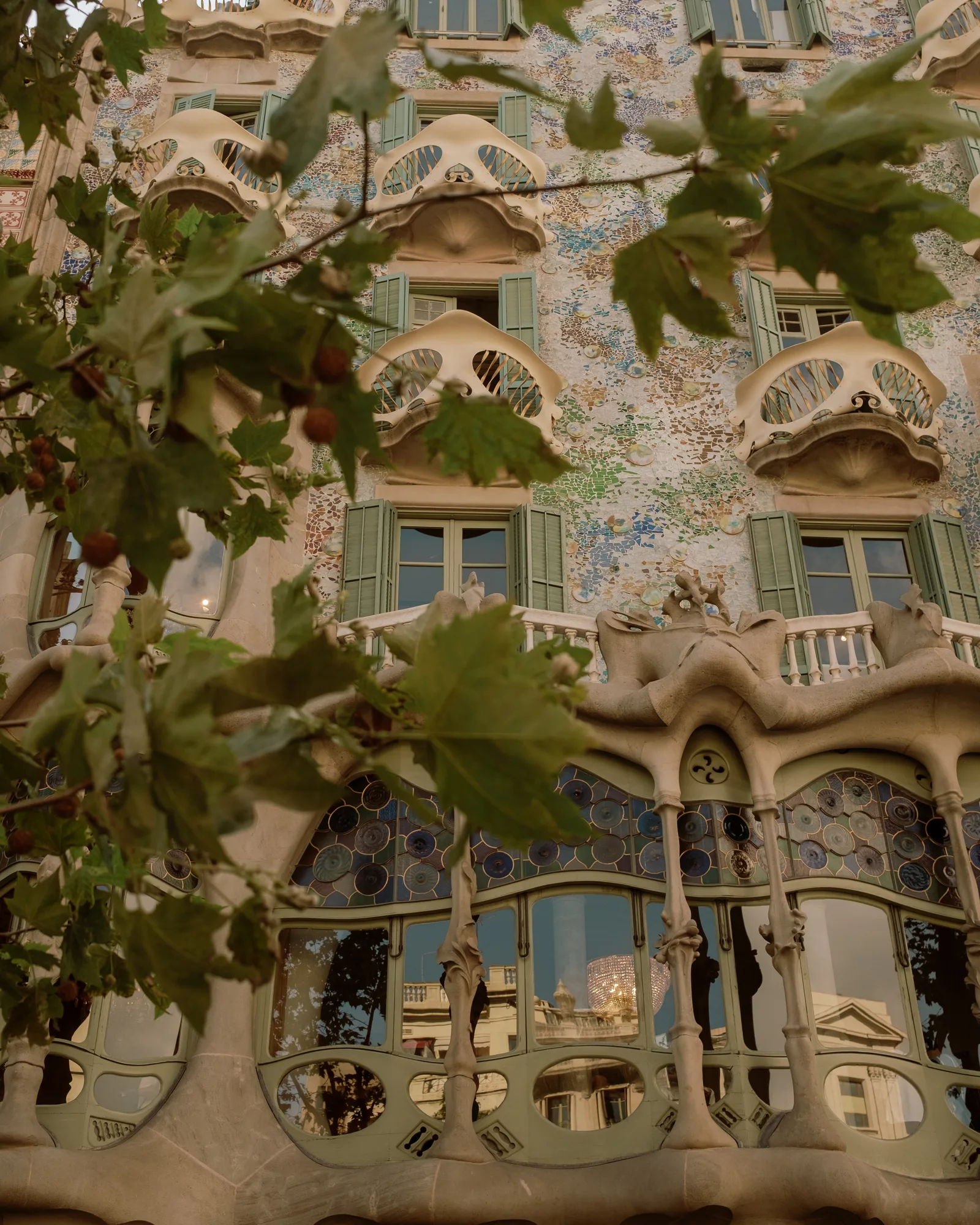 Casa Batlló's mosaic facade and bone-shaped balconies seen through leaves, Barcelona