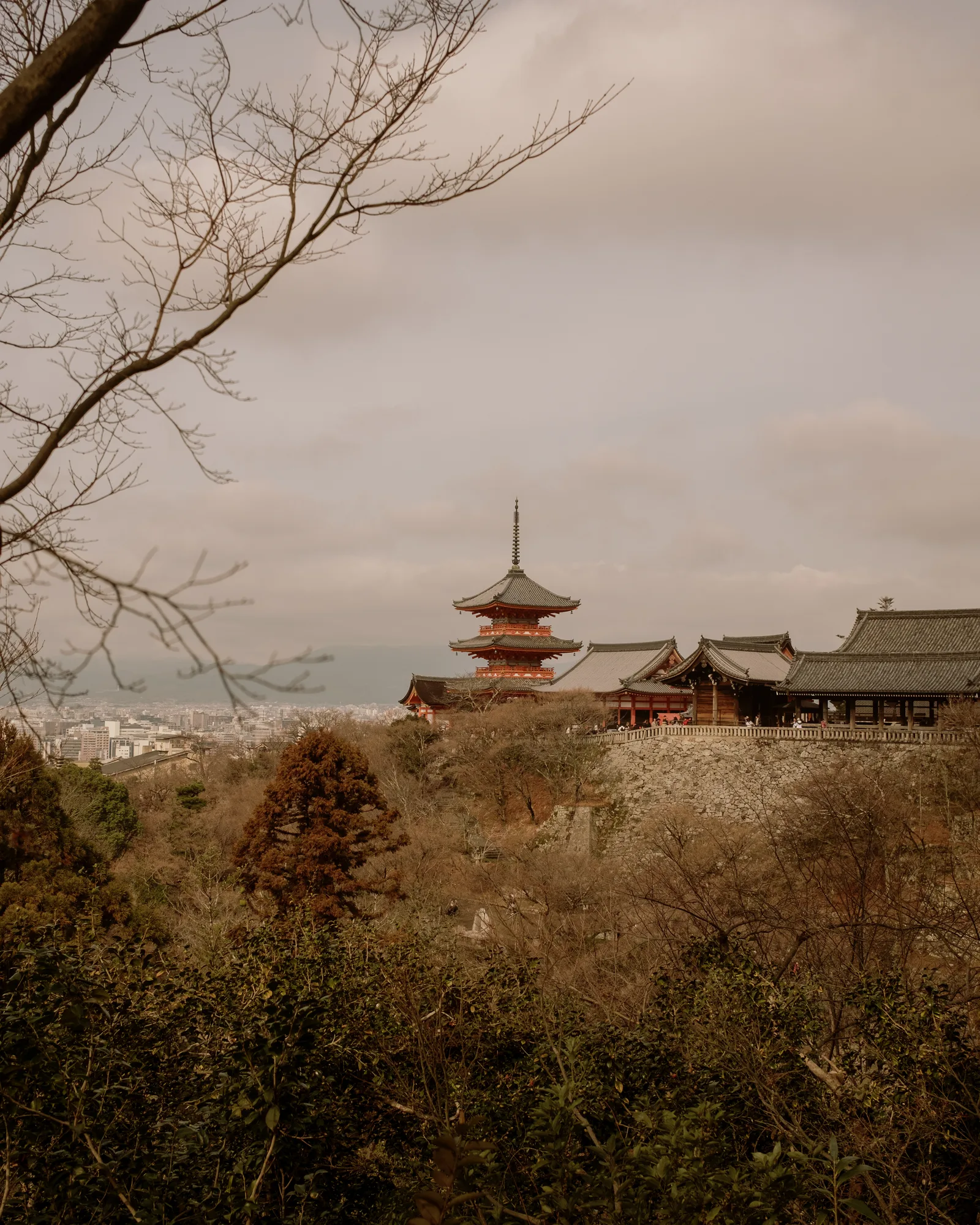 Distant red pagoda above a wooded valley seen through bare branches, Kyoto