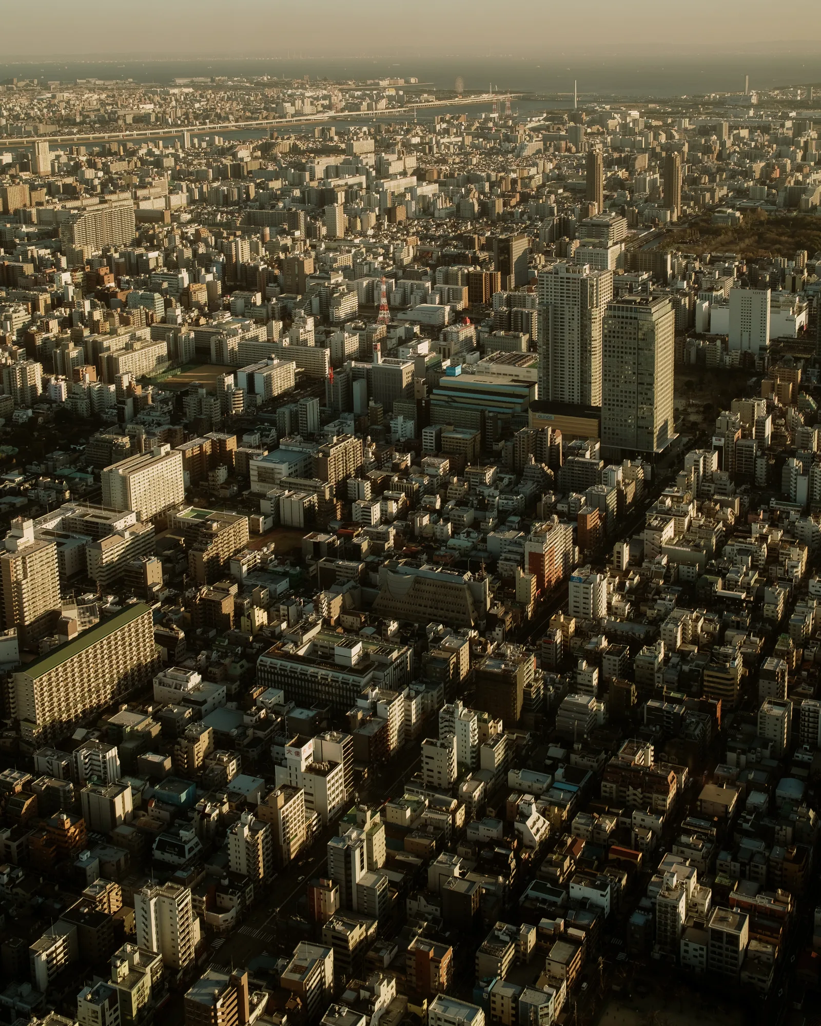 Tokyo skyline from above in low golden light, towers rising among dense low-rise blocks