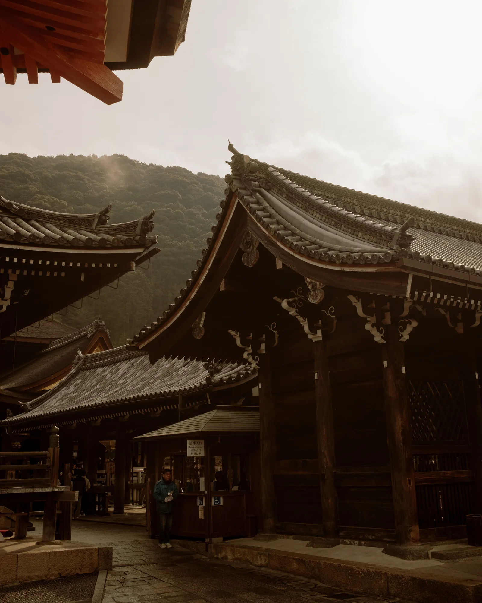 Curved temple roofs with carved brackets against a wooded hillside, Kyoto