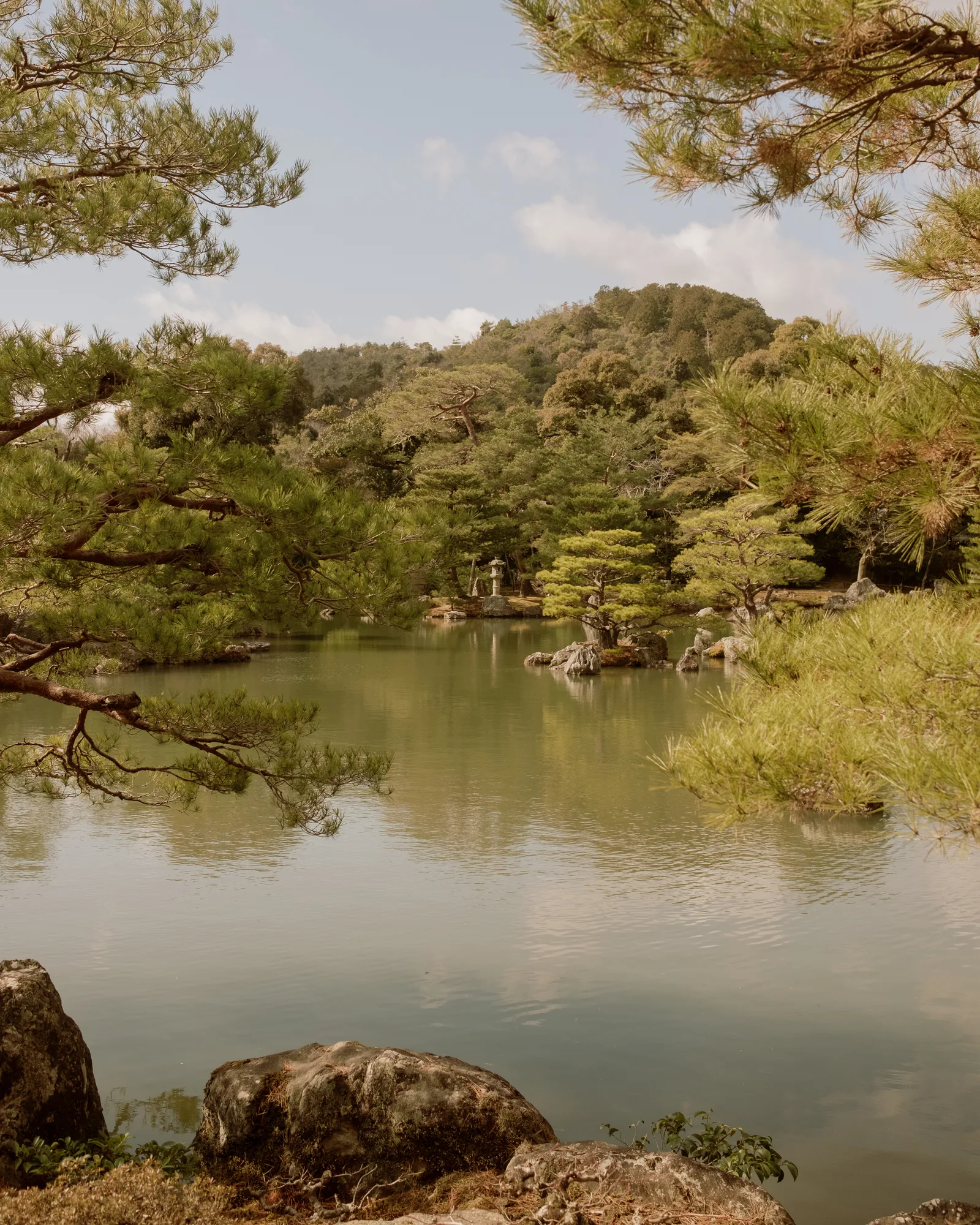 Pond ringed by pines and hills in a Kyoto garden