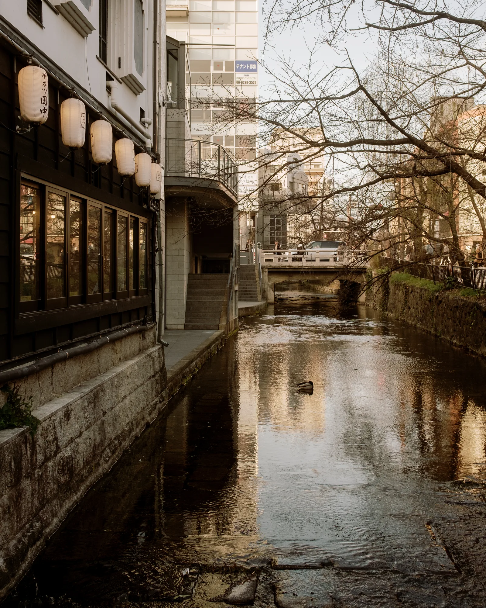 Kyoto canal between old restaurants and modern buildings, evening light on the water