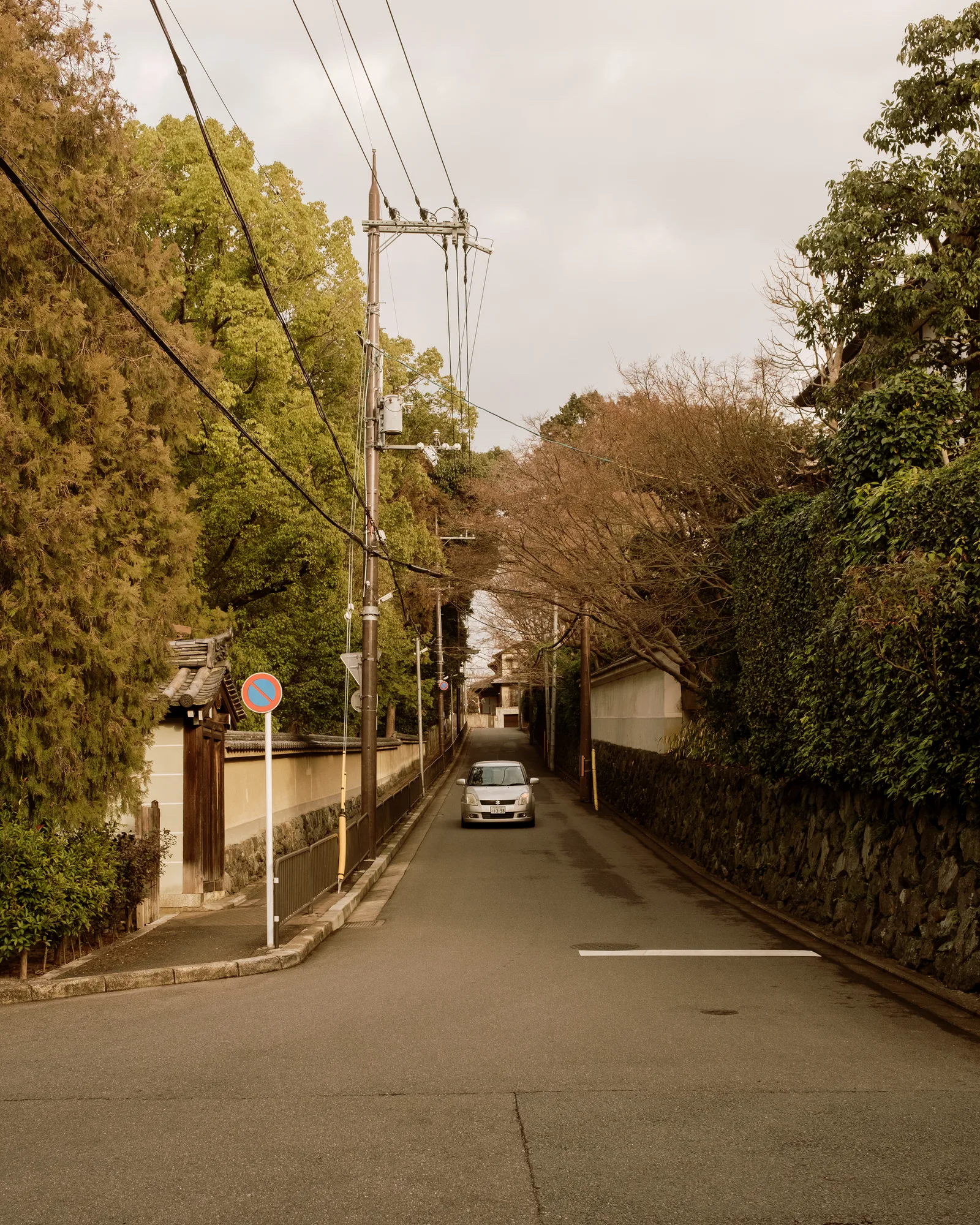 Quiet Kyoto street with a single car, trees and utility wires at dusk