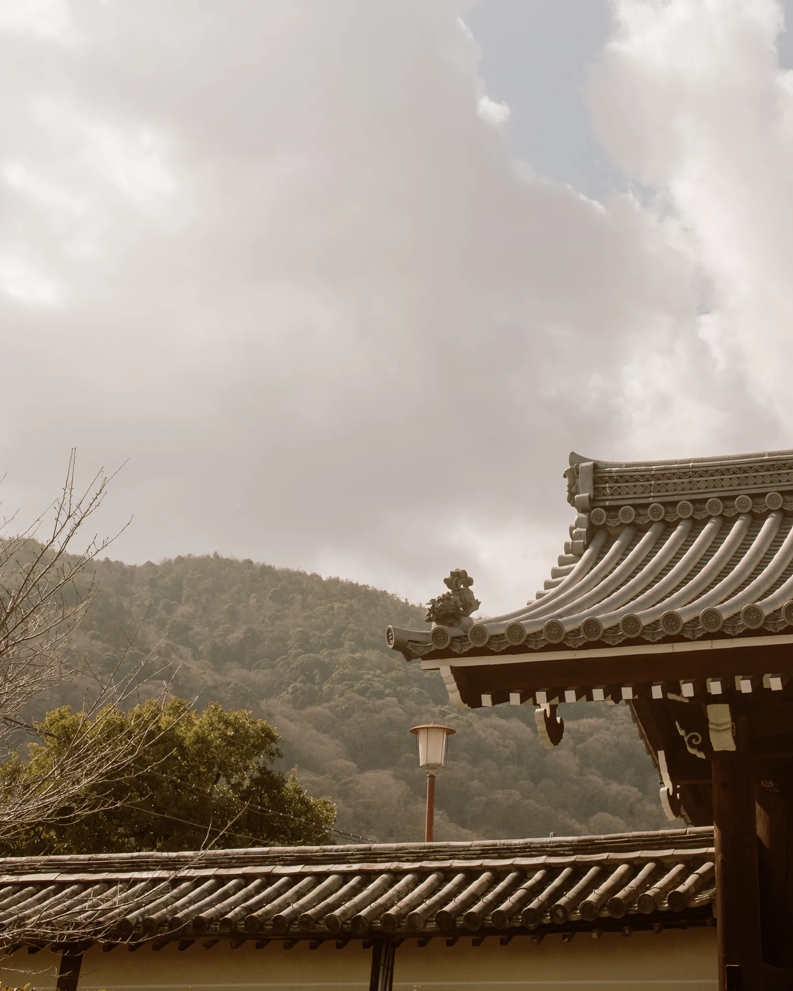 Curved tile roof edges of a temple gate against forested hills, Kyoto