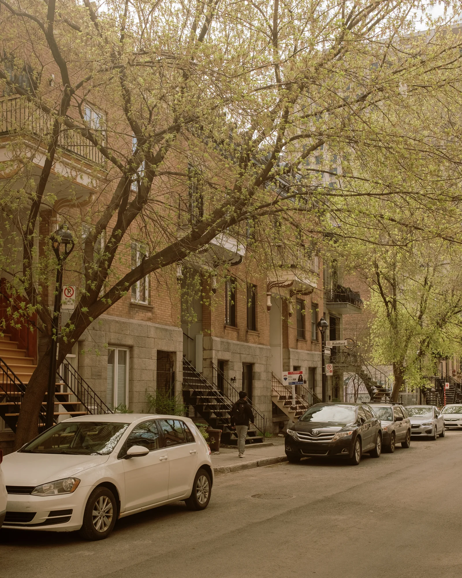 Montreal residential street with parked cars, brick row houses and spring trees
